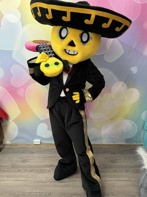 Poco Brawlers Lookalike Mascot Costume - Premium Quality - UK seller