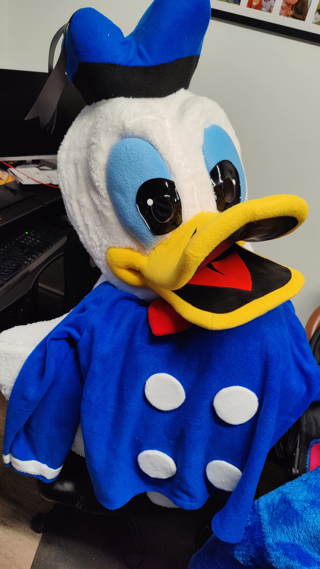 Donald / Daisy Duck Lookalike Mascot Costume - Premium Quality - UK seller