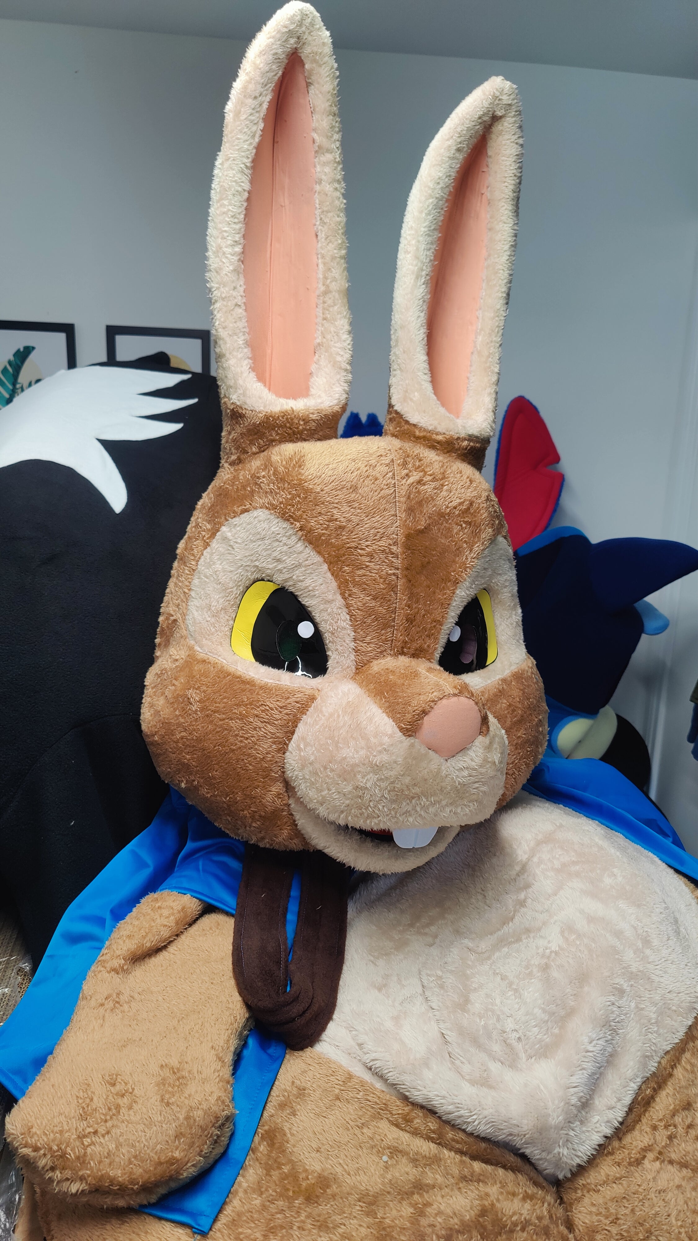 Peter Rabbit Lookalike Mascot Costume - Premium Quality - UK seller